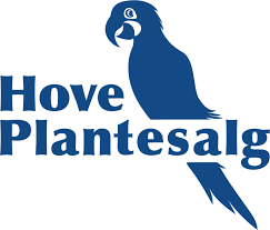 Sponsor logo #9